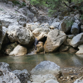 Rocky stream pool with large boulders and trees in a quiet natural gorge