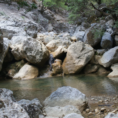 Rocky stream pool with large boulders and trees in a quiet natural gorge