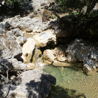 Rocky stream pool with clear water and dappled shade beneath trees