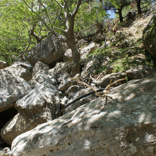 Rocky woodland slope with large boulders and trees in dappled sunlight