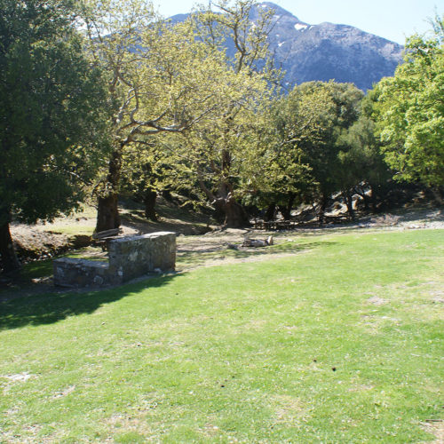 Shaded grassy clearing with trees and a mountain backdrop in South Crete
