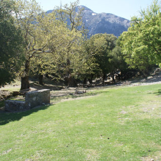 Shaded green meadow with trees and a rocky mountain backdrop in South Crete