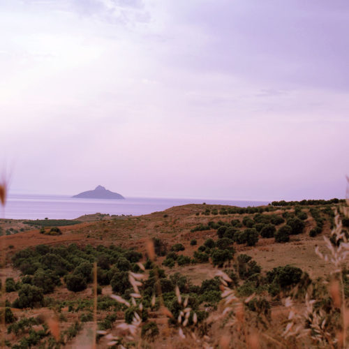 Coastal landscape with dry hills, scattered shrubs, and a distant island over calm sea
