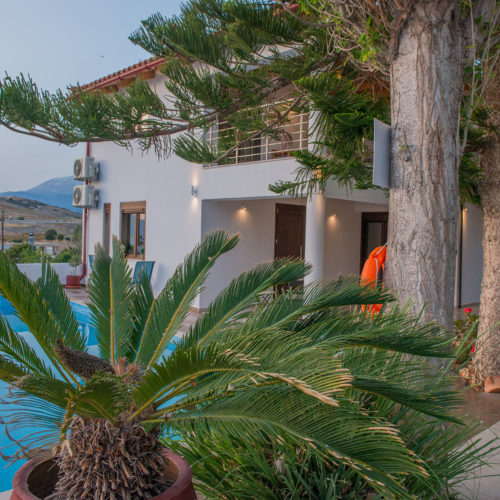 Palm trees frame the pool area beside a white apartment building at Houmeli Apartments in Kalamaki Crete