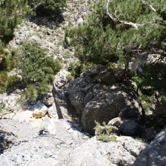 A rocky hillside with pine trees and sunlit stones in the natural landscape near Kalamaki, South Crete