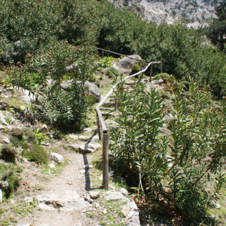 Rocky hiking path with wooden handrail through dense green vegetation in a gorge