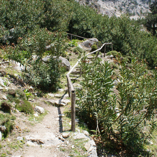 Rocky hiking path with wooden handrail through dense green vegetation in a gorge