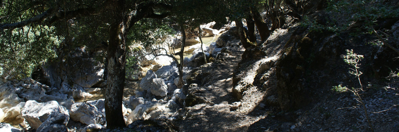 Shaded rocky hiking path inside Rouvas Gorge in Crete, surrounded by trees and natural formations.