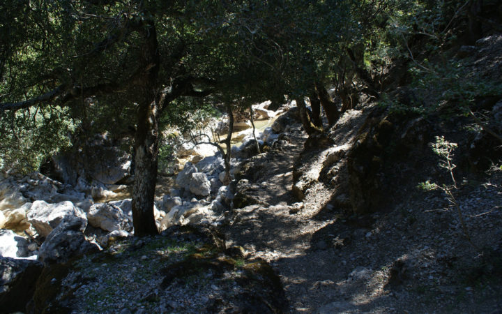 Shaded rocky hiking path inside Rouvas Gorge in Crete, surrounded by trees and natural formations.