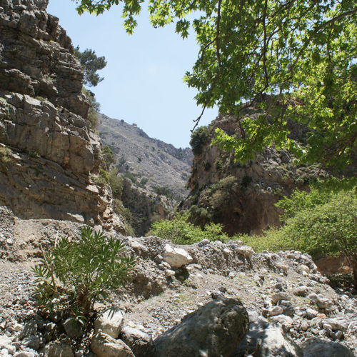 Rocky gorge landscape with steep cliffs, scattered shrubs, and leafy trees under a clear blue sky
