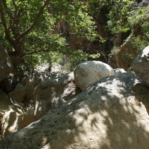 Rocky gorge path shaded by trees and large boulders in South Crete