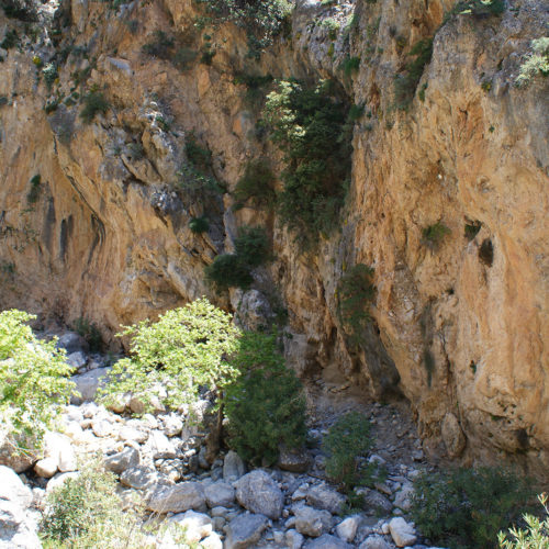 Rocky gorge walls with scattered shrubs and boulders in a sunlit South Crete landscape