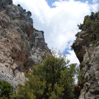 Steep rocky gorge walls with scattered trees and a bright cloudy sky in South Crete