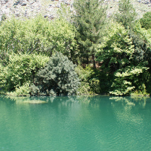 Turquoise lake water beside dense green trees and rocky hills in a peaceful natural setting